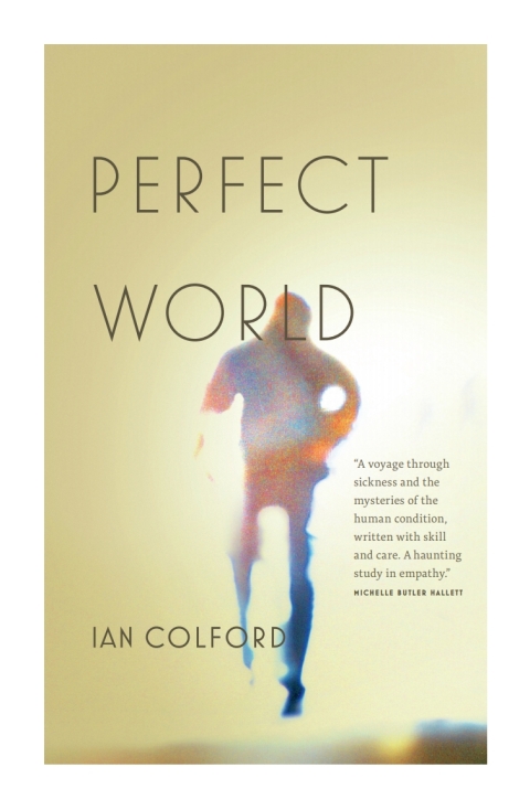 Cover image for book Perfect World