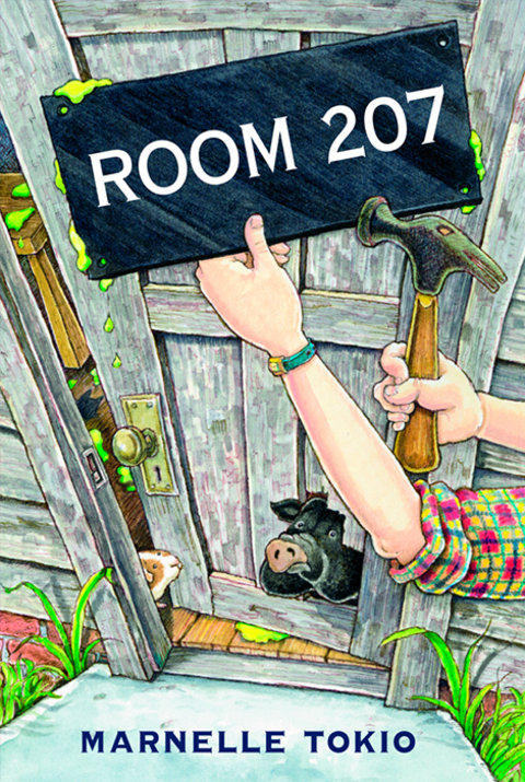 Cover image for book Room 207