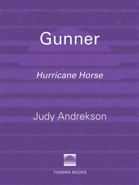 Cover image for book Gunner