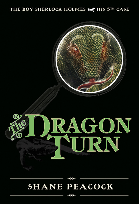 Cover image for book The Dragon Turn