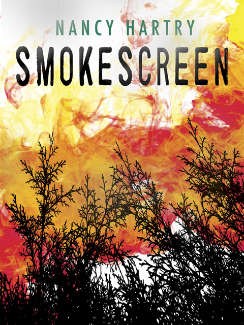 Cover image for book Smokescreen