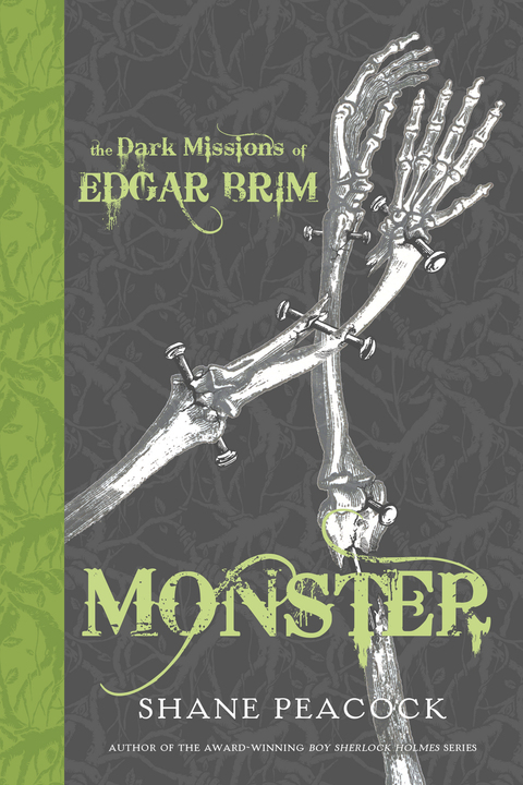 Cover image for book The Dark Missions of Edgar Brim: Monster