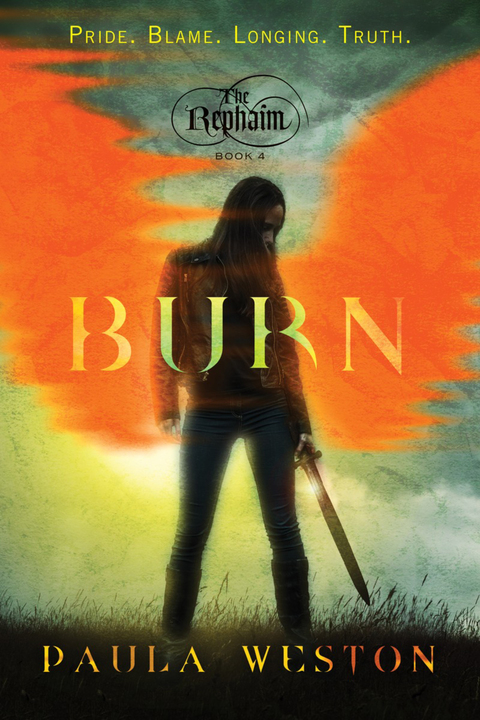 Cover image for book Burn
