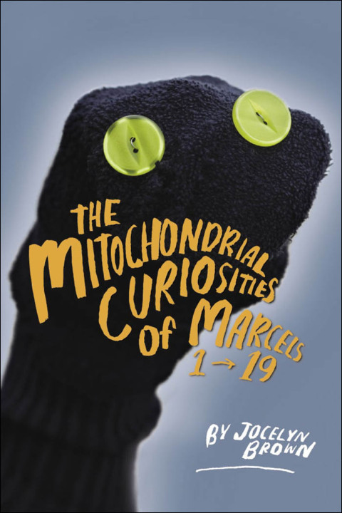 The Mitochondrial Curiosities of Marcels 1 to 19 