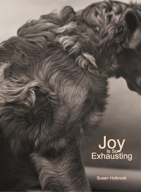 Joy Is So Exhausting 