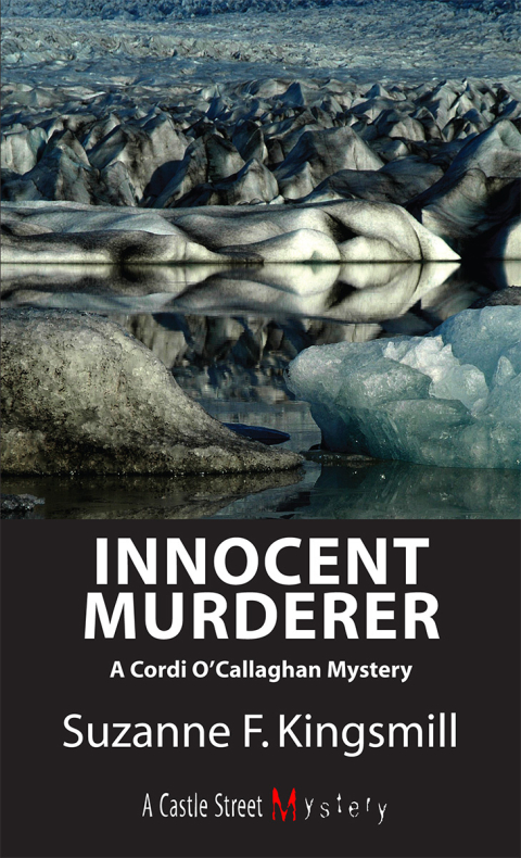 Cover image for book Innocent Murderer