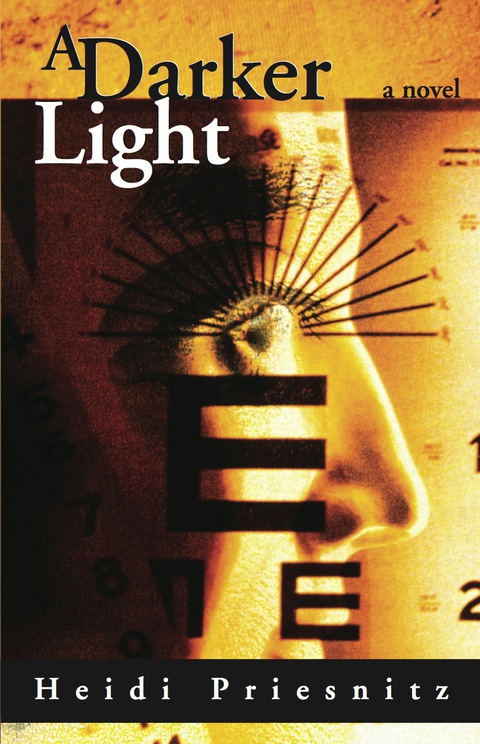 Cover image for book A Darker Light