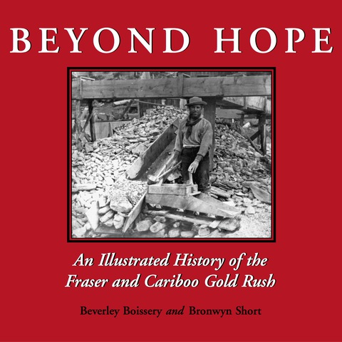 Cover image for book Beyond Hope