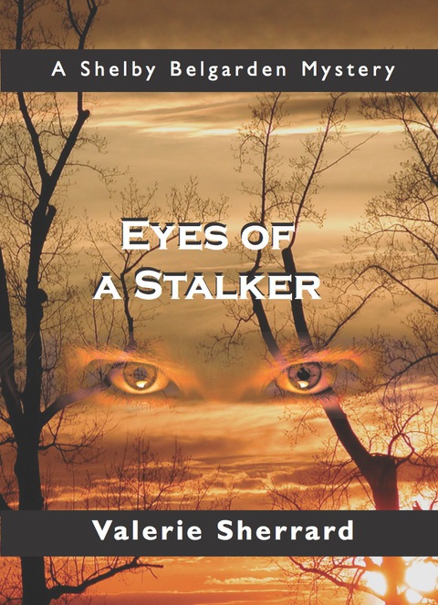 Cover image for book Eyes of a Stalker