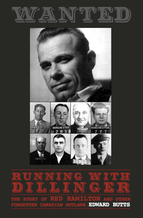 Cover image for book Running With Dillinger
