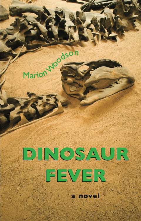 Cover image for book Dinosaur Fever