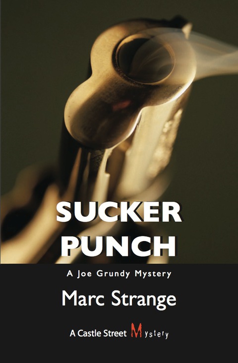 Cover image for book Sucker Punch