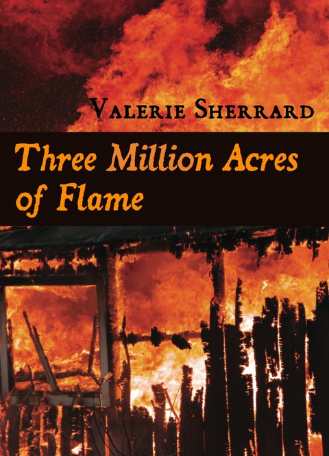 Cover image for book Three Million Acres of Flame