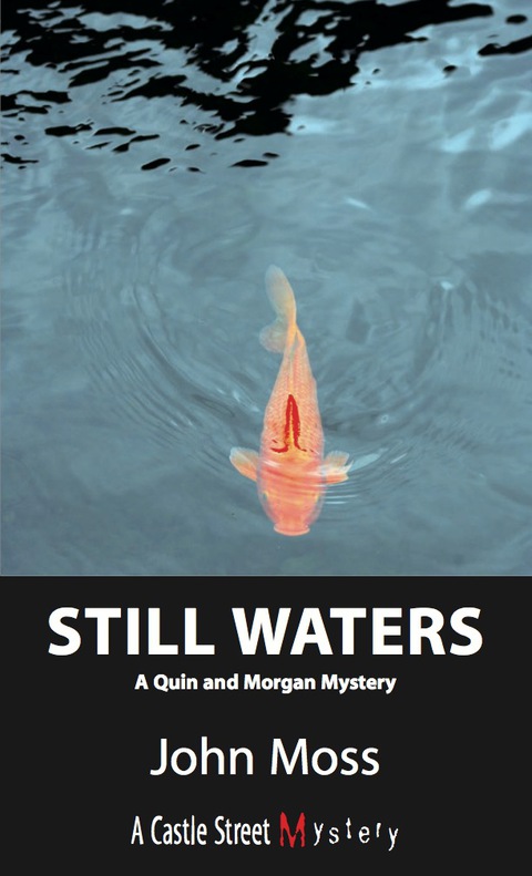 Cover image for book Still Waters
