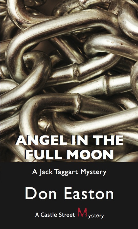 Cover image for book Angel in the Full Moon