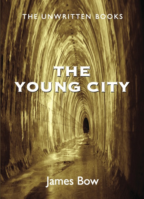 Cover image for book The Young City