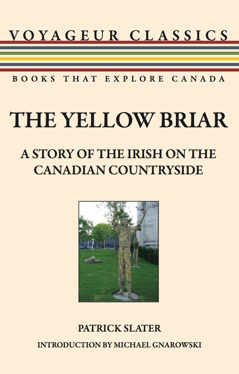 Cover image for book The Yellow Briar