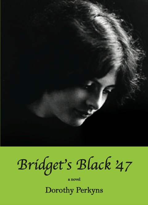 Cover image for book Bridget’s Black ’47