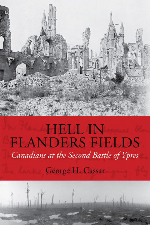 Cover image for book Hell in Flanders Fields