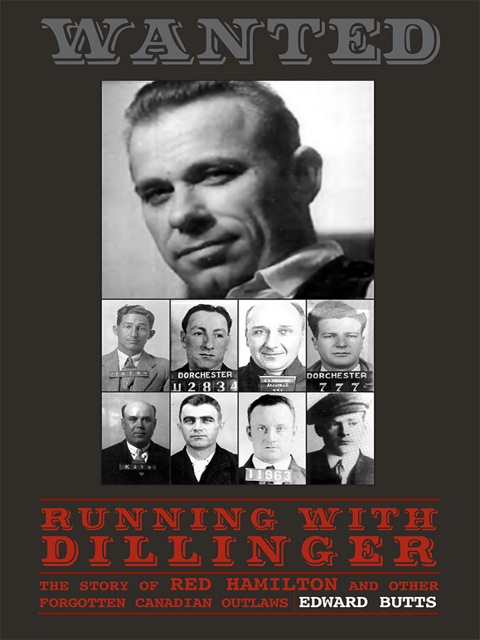 Cover image for book Running With Dillinger