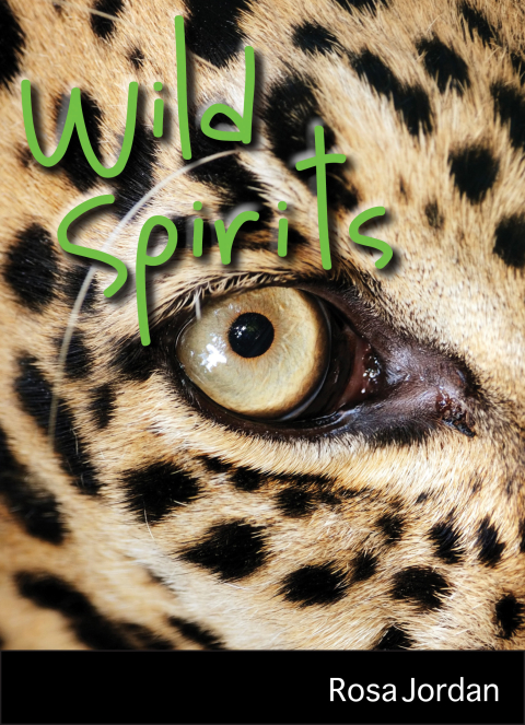Cover image for book Wild Spirits