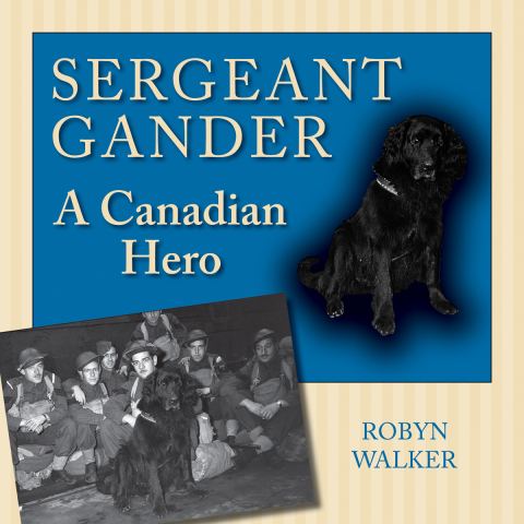 Cover image for book Sergeant Gander
