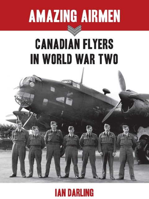 Cover image for book Amazing Airmen