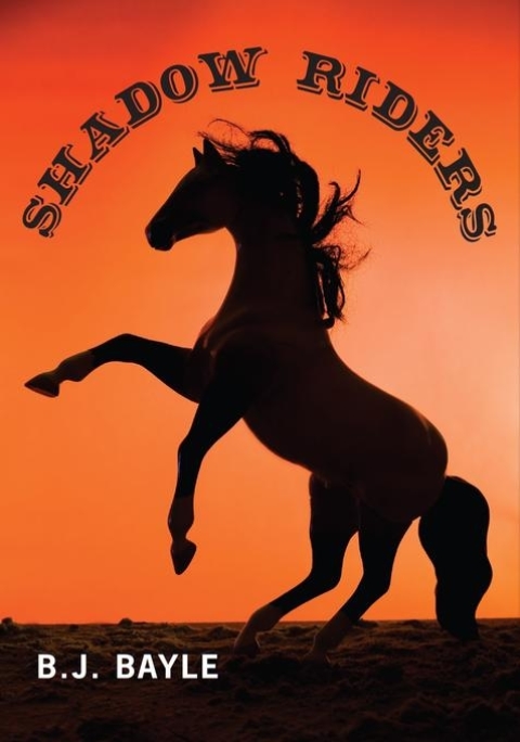 Cover image for book Shadow Riders