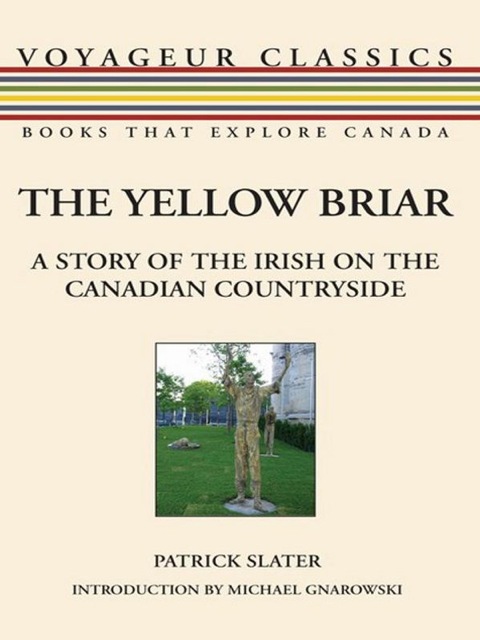 Cover image for book The Yellow Briar