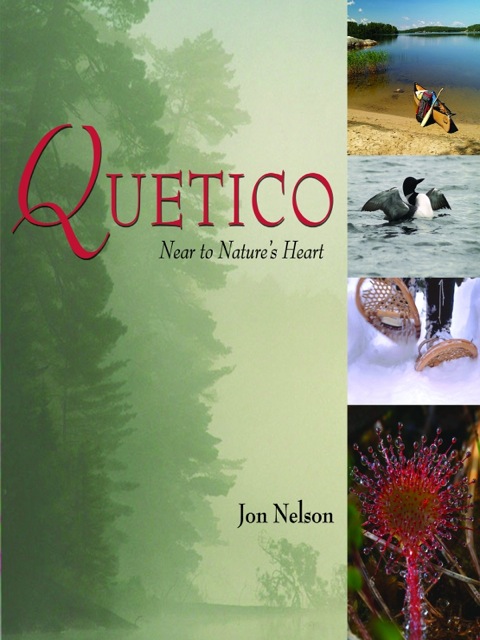 Cover image for book Quetico