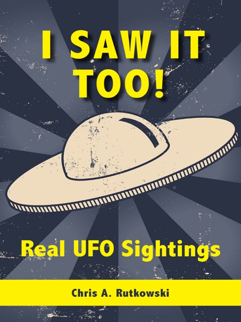 Cover image for book I Saw It Too!