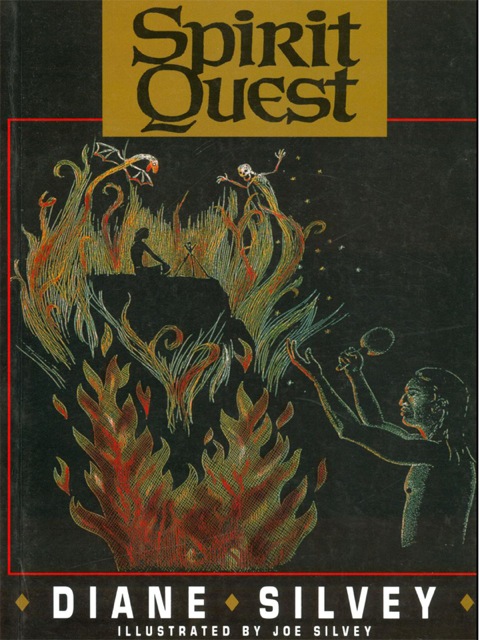 Cover image for book Spirit Quest