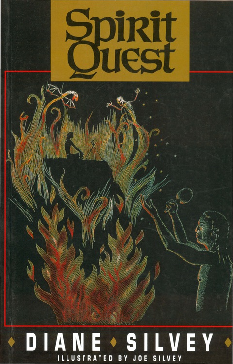Cover image for book Spirit Quest