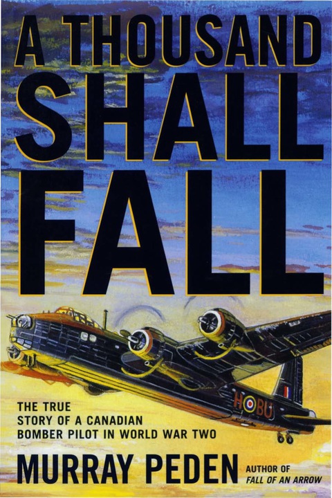 Cover image for book A Thousand Shall Fall