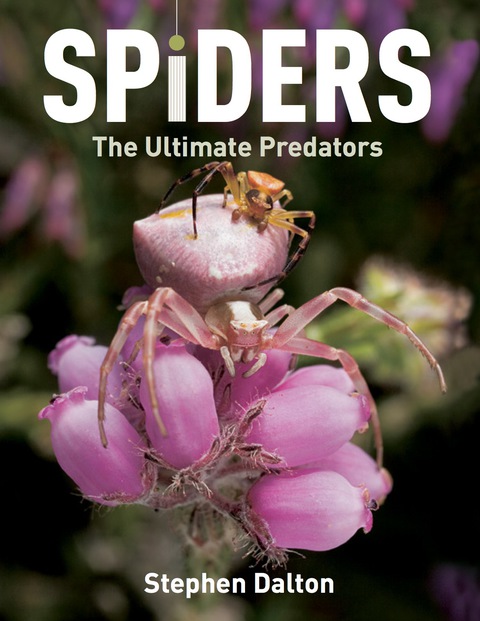 Cover image for book Spiders