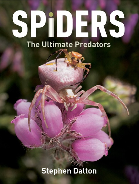 Cover image for book Spiders