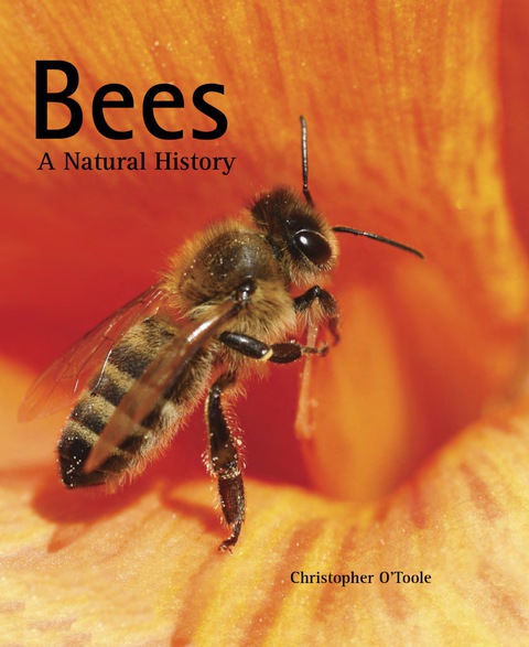 Cover image for book Bees