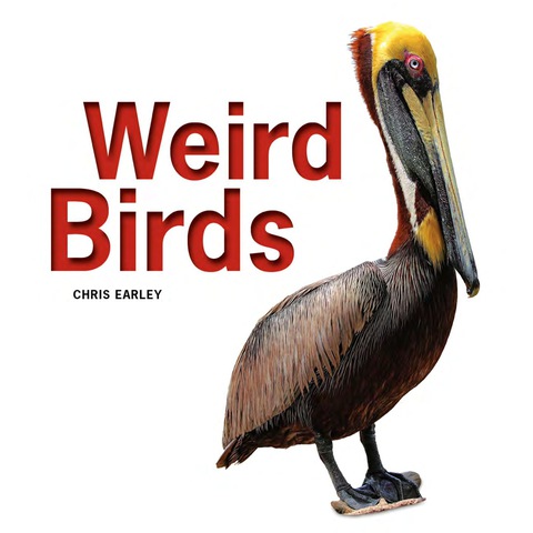 Cover image for book Weird Birds