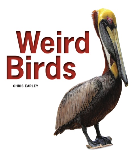 Cover image for book Weird Birds