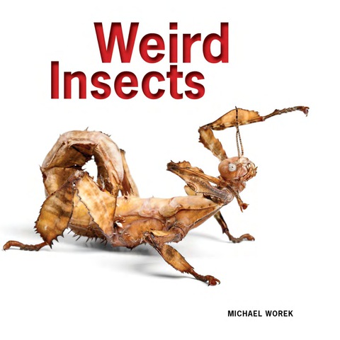 Cover image for book Weird Insects