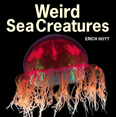 Cover image for book Weird Sea Creatures