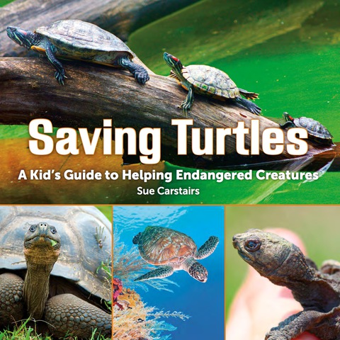 Cover image for book Saving Turtles
