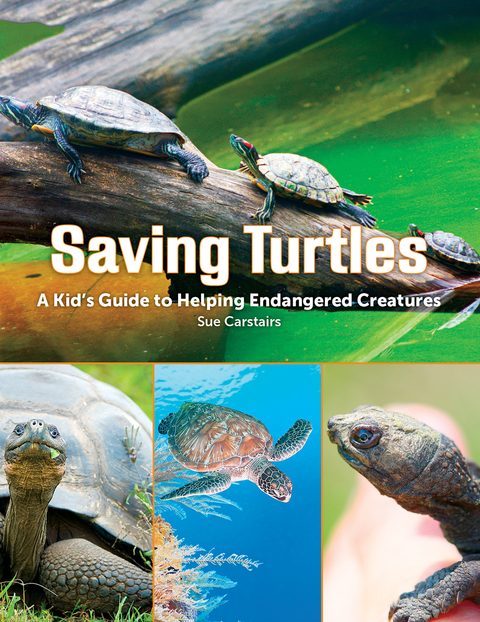 Cover image for book Saving Turtles