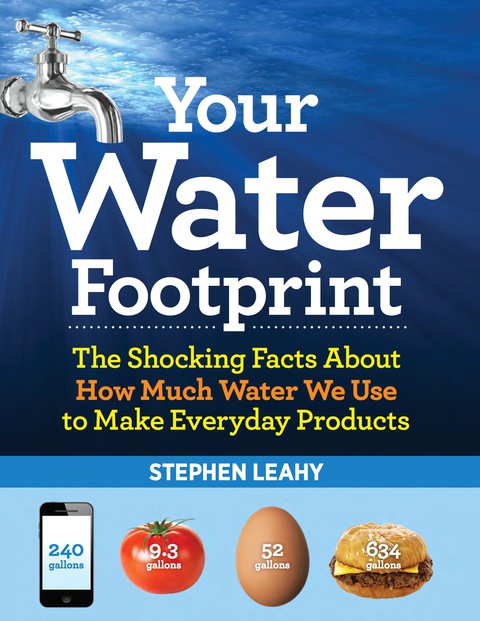 Cover image for book Your Water Footprint