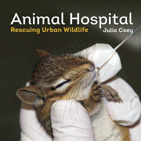 Cover image for book Animal Hospital