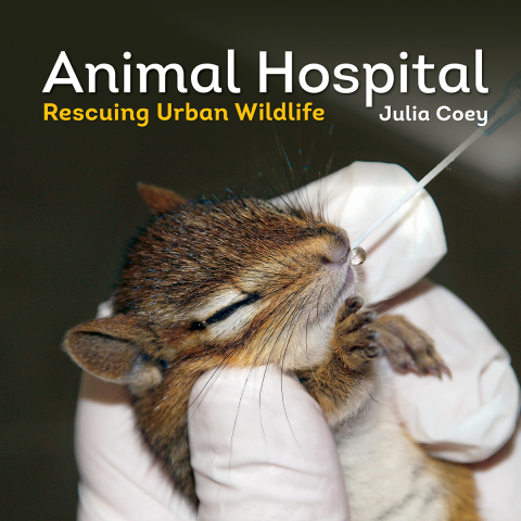 Cover image for book Animal Hospital