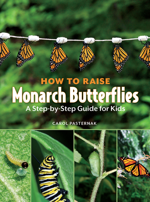 Cover image for book How to Raise Monarch Butterflies