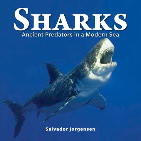 Cover image for book Sharks