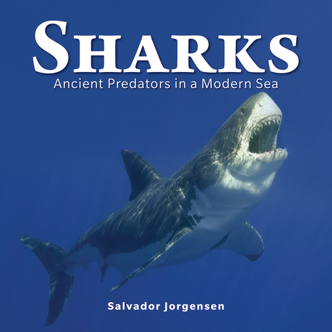 Cover image for book Sharks