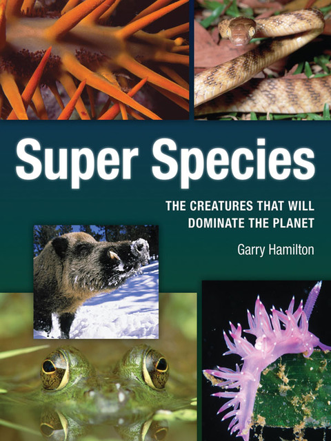 Cover image for book Super Species